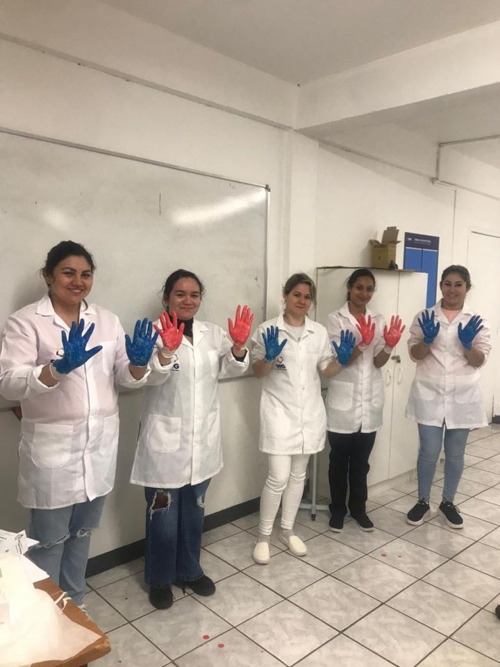 Escola SEG de Ijuí promove atividades sobre Higiene das Mãos para estudantes de saúde