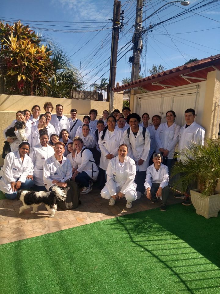 Alunos da Escola SEG de Canoas realizam Visita Técnica na Clínica Hortênsias